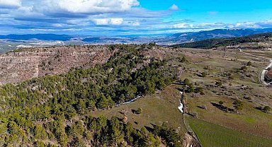 Karlar eridi, yaylalar yeşile bürünmeye başladı