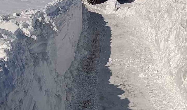 Karlıova'da 2 metreyi aşan karla mücadele