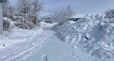 Karlıova'da kar yağışı etkisini sürdürüyor
