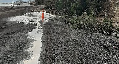 Kastamonu'da heyelanda istinat duvarını aşan ağaçlar yola kadar geldi