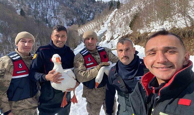 Kayıp kazlar üç gün sonra dere yatağında bulundu