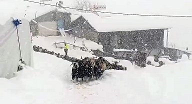 Keçilerin inadı yarım metreyi bulan kara yenilmedi