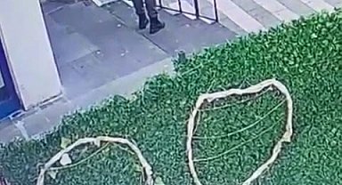 Kedinin çuvala konularak uzaklaştırıldığı görüntülere tepki