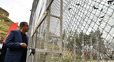 Kelaynaklar doğaya salındı