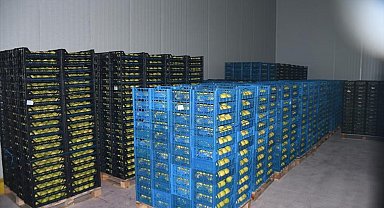 Kestel'e 400 milyon liralık dev meyve tesisi kuruluyor