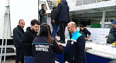 Kırklareli'de hamsi sevkiyatlarına denetim