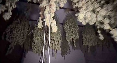 Kırklareli'nde 54 kilogram esrar ele geçirildi: 1 tutuklama