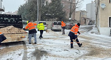 Kırklareli'nde solüsyonla ilaçlama ve tuzlama çalışmaları