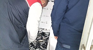 Kırklareli'nde su ürünleri denetiminde 110 koli istavrite cezai işlem