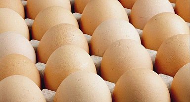 Kişi başına düşen yumurta üretimi 15 adet azaldı