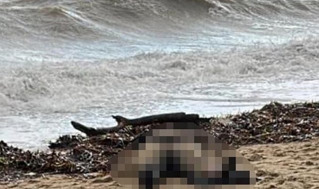 Kıyıya vuran kadın cesedi olayının sis perdesi aralanıyor
