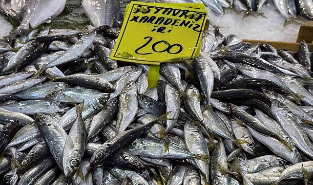 Kocaeli'de balık tezgahlarındaki son durum