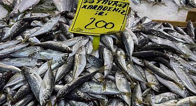 Kocaeli'de balık tezgahlarındaki son durum