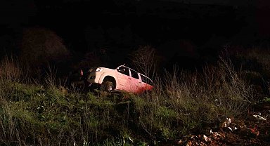 Kontrolden çıkan kamyonet şarampole yuvarlandı, sürücü yaralandı