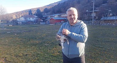 Konya'da aç kalan kediler için 30 kilometre yol gitti