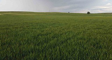 Konya'da yüksek kesimler yağışa doydu