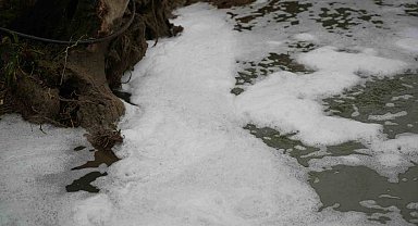 Köpüren dereden ağır kokular yükseliyor
