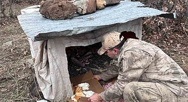 Köy yoluna bırakılan yavru köpeklere jandarmandan şefkat eli