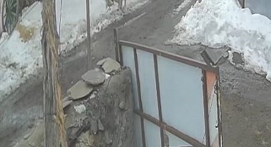 Köye inen kurt kaz sürüsüne saldırdı