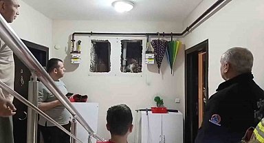 Küçük Yaser Kaan'ın dikkati kediyi kurtardı