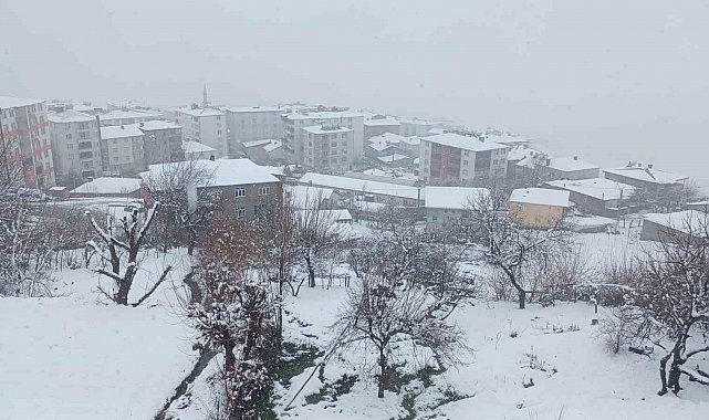 Kulp'ta kar yağışı etkili oldu, ilçe beyaza büründü