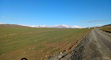 Kulp'ta yağışlar çiftçinin umudu arttı