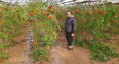 Kumluca'da hortum seraları parçaladı