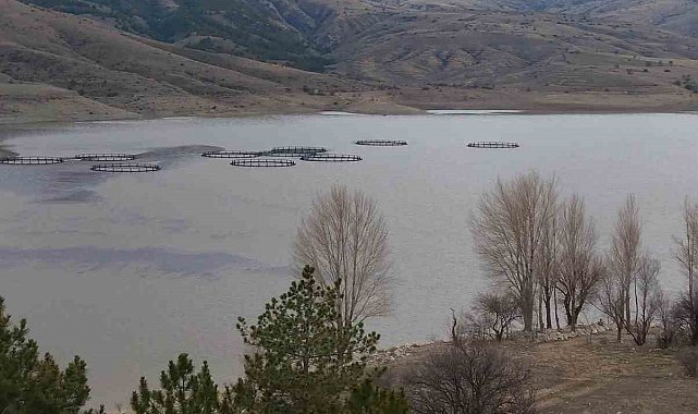 Kurumaya yüz tutan barajda doluluk oranı yüzde 50 seviyelerine yaklaştı