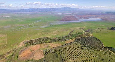 Kuruyan Marmara Gölünde umutlandıran görüntü