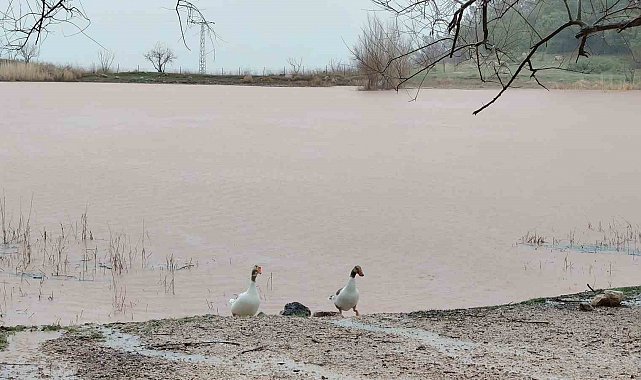 Kuruyan Sülüklü Göl yeniden canlandı