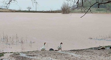 Kuruyan Sülüklü Göl yeniden canlandı