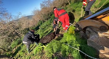 Kuyuya düşen buzağı kurtarıldı
