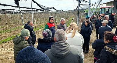 Lüleburgaz'da üreticilere uygulamalı budama eğitimi