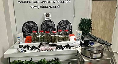 Maltepe'de bir uyuşturucu serası dronla tespit edildi: 3 gözaltı