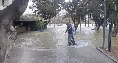 Manavgat Irmağı'nda su debisi yükseldi, işletmeleri su bastı