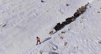 Mardin'de besicilerin zorlu 'kar' mesaisi: Sürüler beyaz örtüde yol alıyor