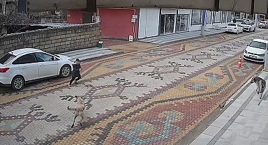 Mardin'de sokak köpeklerinin saldırdığı çocuğu esnaf kurtardı