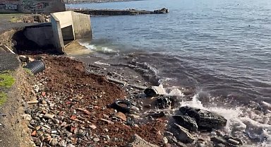 Marmara'daki fırtına Tekirdağ kıyılarını kızıl yosunla sürükledi