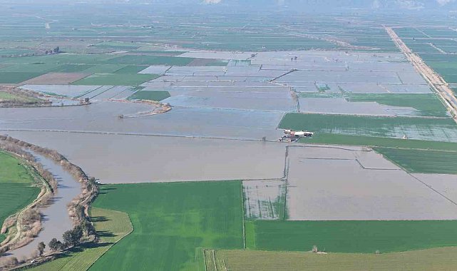 Menderes taştı, yüzlerce dönüm sular altında kaldı