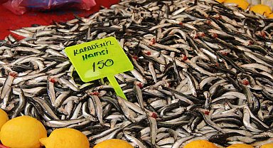 Menteşe pazarında hamsi ucuzladı