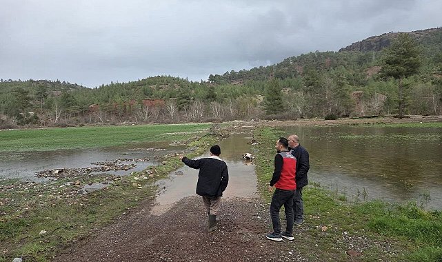 Menteşe'de sağanak yağışların ardından tarım arazilerinde hasar tespit çalışmaları başladı