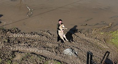 Meriç Nehri taştı; hayvanlar tahliye edildi, çiftçi malını kurtardı
