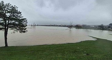 Meriç Nehri'nden taşan sular yaşam alanlarına kadar ulaştı