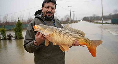 Meriç Nehri'nin taşmasıyla bazı vatandaşlar tarlasında canlı sazan balığı yakaladı