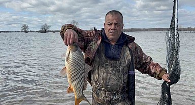 Meriç'in taşması sonrası tarlada sazan yakaladılar