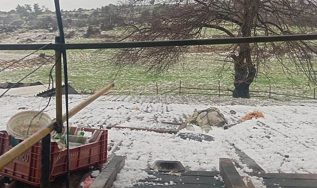 Mersin'de dolu: Ekili alanlar zarar gördü