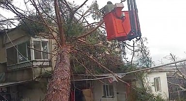 Mersin'de fırtına etkili oluyor: Ağaç evin üzerine devrildi