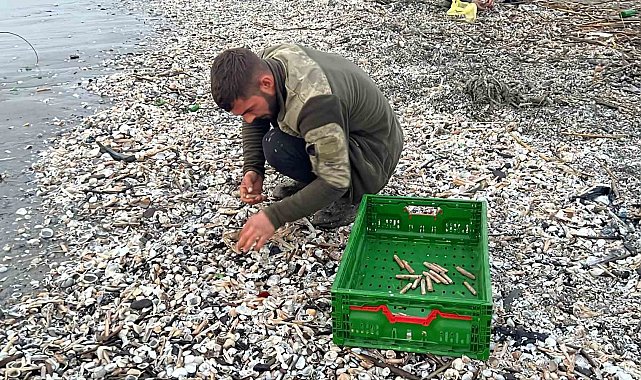 Mersin'de fırtına sonrası binlerce kargı midyesi sahile vurdu: Balıkçılar tek tek topladı