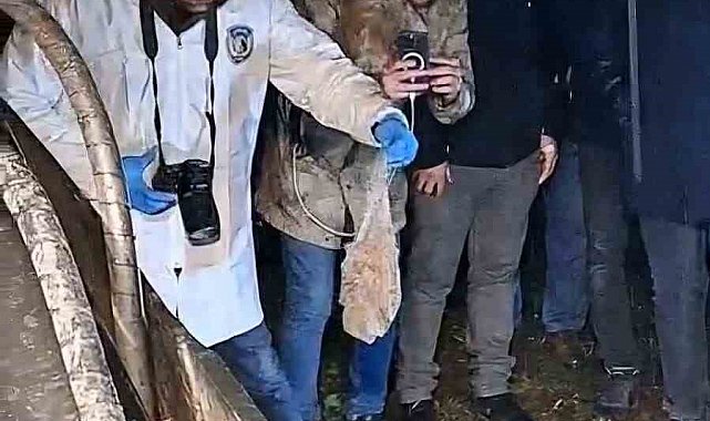 Mezarlığa gömülen esrarengiz paket mahalleliyi ayağa kaldırdı