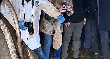 Mezarlığa gömülen esrarengiz paket mahalleliyi ayağa kaldırdı